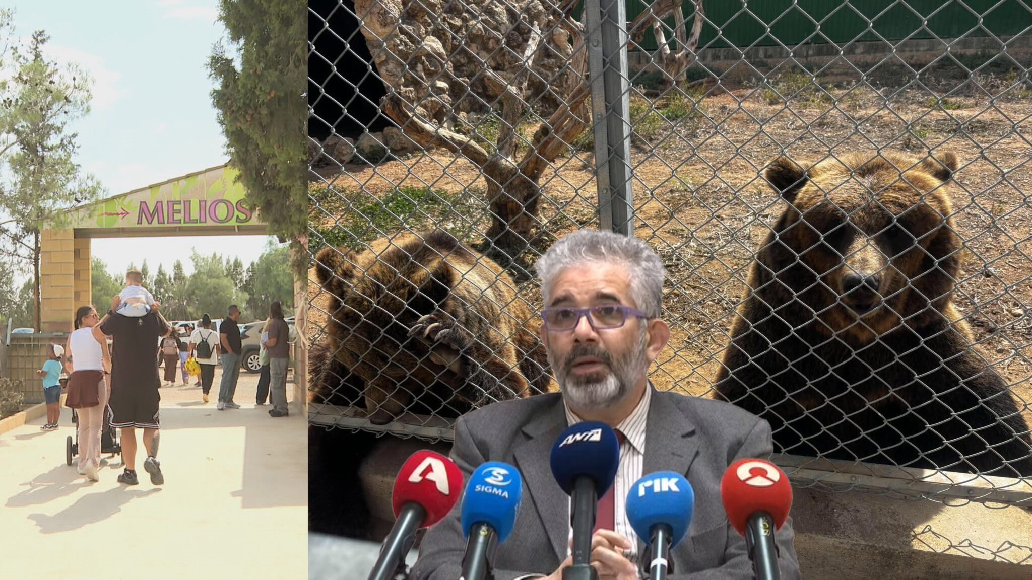 Ο Πίπης απαντά: Γιατί παραμένει ανοιχτό το Melios Zoo και πώς φέρνει αρκούδες στην Κύπρο